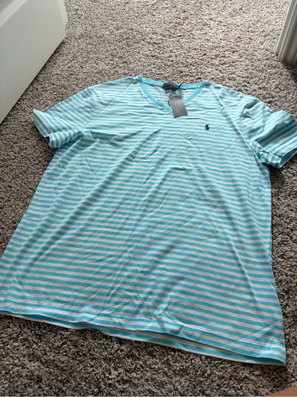Polo by Ralph Lauren Blue and White Striped V-Neck Tee Shirt